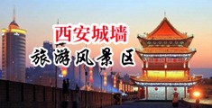 骚逼女郎操逼中国陕西-西安城墙旅游风景区